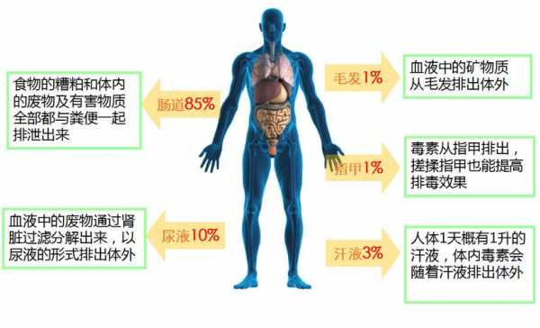 血液病是什么业障