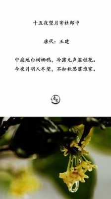 春山不该染秋水什么意思-秋水什么意思