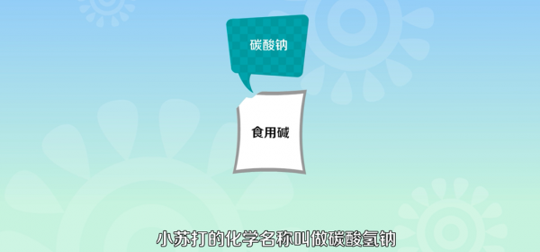  盐和小苏打一起有什么作用「盐和小苏打一起有什么作用盐和小苏达放一起走啥反应」