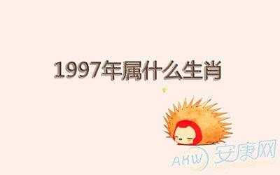 97什么命_97出生什么命