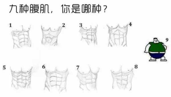 腹肌什么意思?