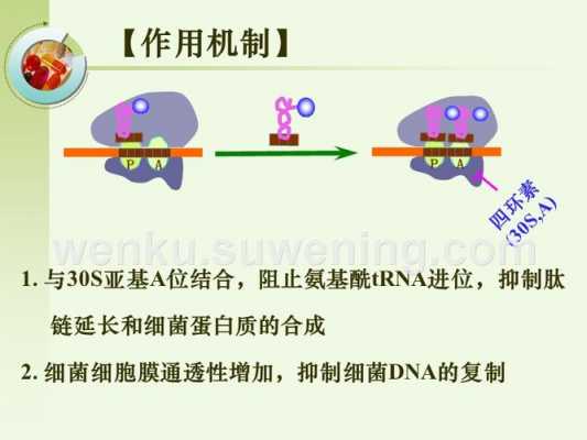 什么是四环素类药物作用机制 什么是四环素类药物