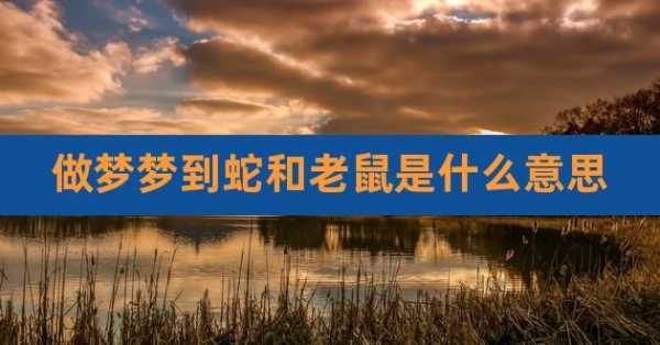 梦见蛇和老鼠是什么预兆男人-梦见老鼠和蛇是什么意思