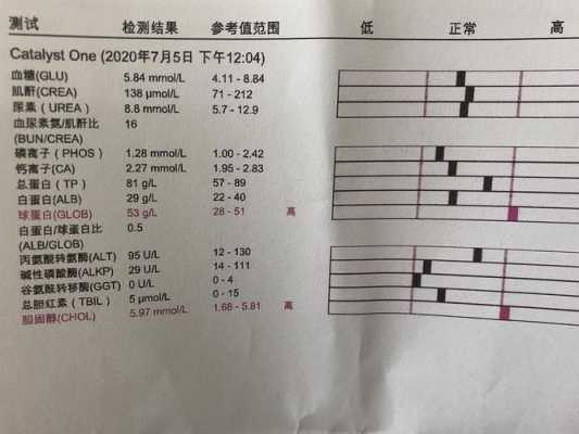 白球比偏高说明什么