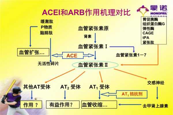 acei是什么意思在医学上-acei是什么意思