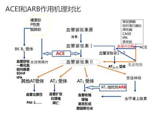 acei是什么意思在医学上-acei是什么意思