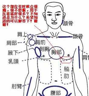 胸口中间是什么_胸口中间是什么原因