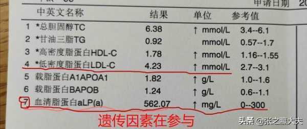 脂蛋白高是什么原因-脂蛋白a高是什么原因