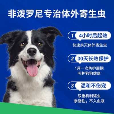 什么驱虫,什么驱虫药边牧不能用 