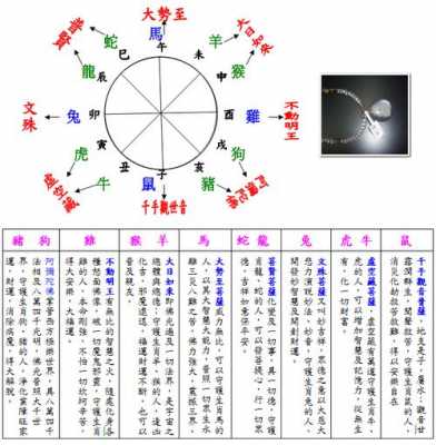  媛五行属什么「已时属于什么五行」