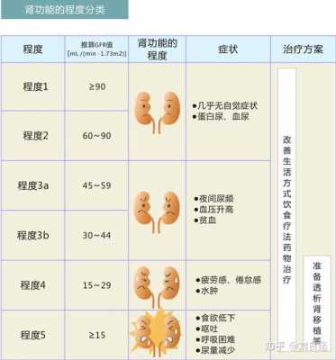 肌酐尿酸低是什么原因造成的