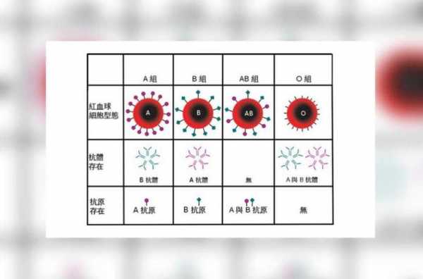 ab型rh阳性是什么意思,rh阳性血是什么血型 