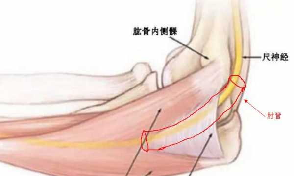 肘管综合征看什么科室 肘管综合征看什么科