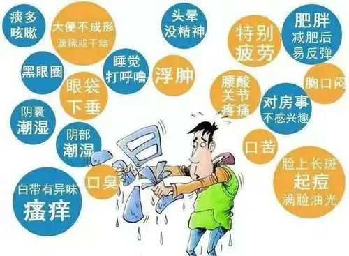 痰湿指什么