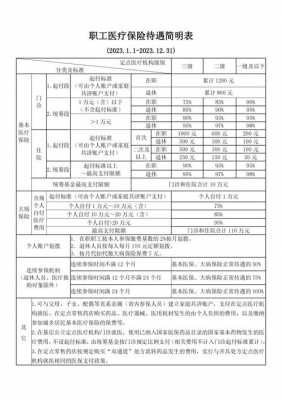 医保报销是什么意思