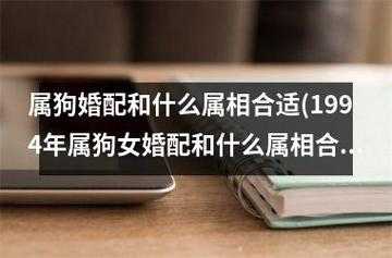 属狗的最佳配对生肖-狗和什么属相最合