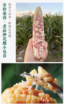  花包谷是什么意思「花包谷是不是转基因食品」