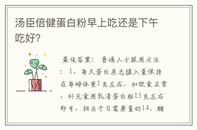  蛋白粉什么时间吃最好「蛋白粉什么时间吃最好一天中?」