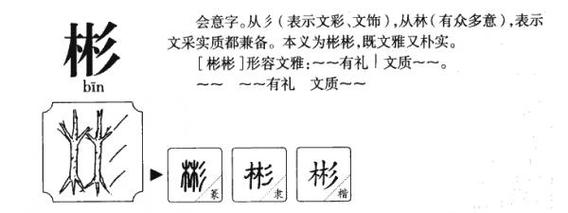  彬什么字「彬这个字读什么拼音」