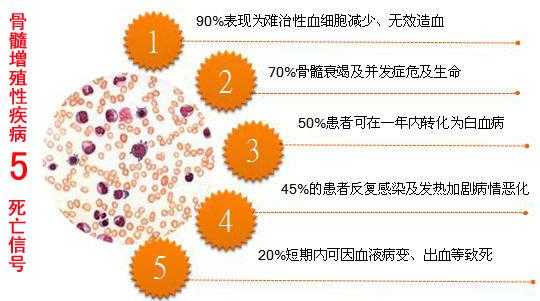  骨髓增生是什么病「骨髓增生异常综合症能治好吗」