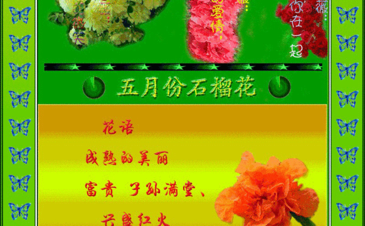 12月什么花,12月什么花寓意好 