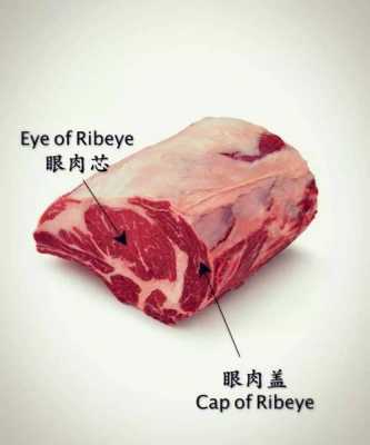 肉眼是什么肉-肉眼是什么