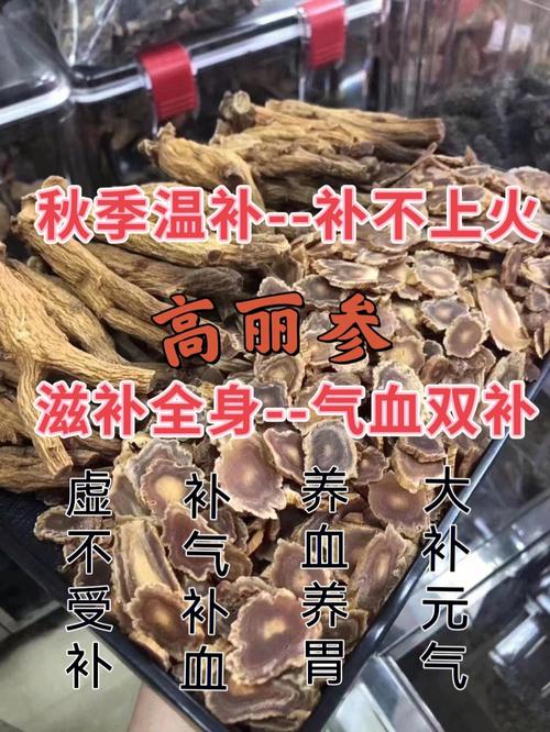 高丽参是什么参（高丽参是什么参做好吃）