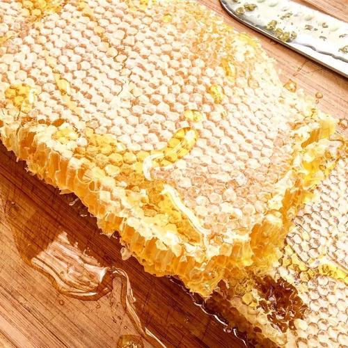 蜂蜜是蜜蜂的什么