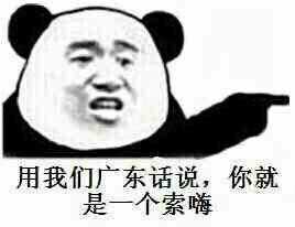 广东话索嗨是什么意思_广东话索嗨是夸人的意思吗