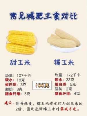  主食有什么「主食有什么营养价值」