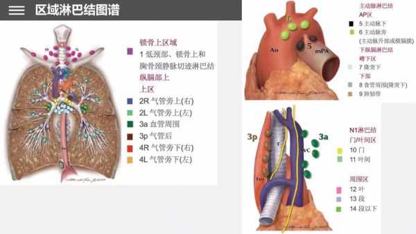 纵隔淋巴结转移是什么意思,不化疗和化疗哪个寿命长 