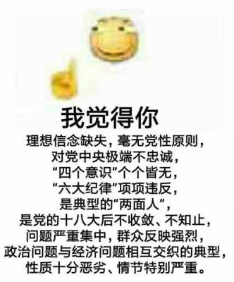 上纲上线什么意思,上纲上线什么意思? 