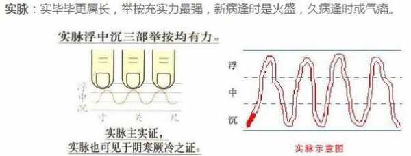 什么是滑脉_什么是滑脉和弦脉