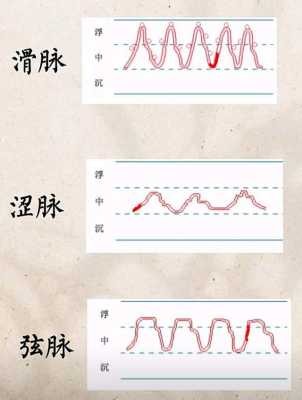 什么是滑脉_什么是滑脉和弦脉