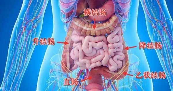 肠结节的症状-结肠结节是什么症状