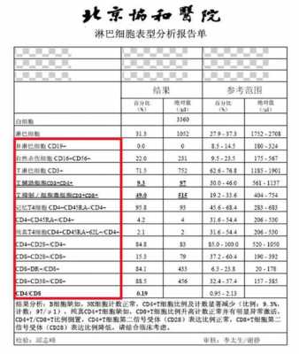 淋巴细胞低的原因-淋巴细胞比率低是什么意思