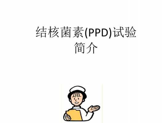 ppd是什么,PPT是什么的缩写 