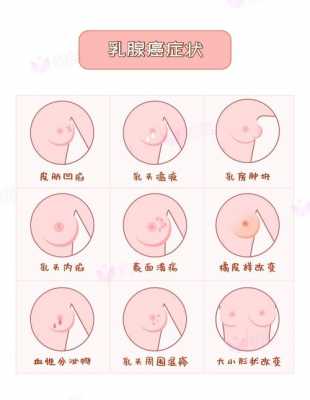 正常乳房应该是什么样子_乳房抓起来有一坨硬硬的