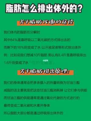 脂肪怎么能从身体里排出来-脂肪燃烧是什么感觉