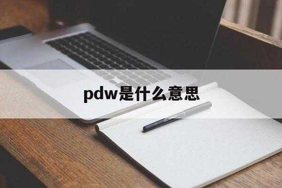  pdw是什么意思「PDW是什么意思」