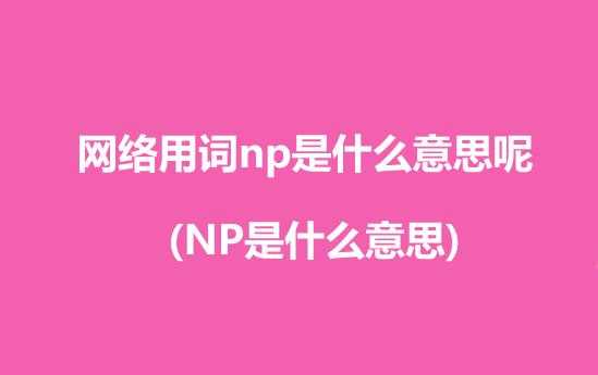 np是什么意思网络缩写