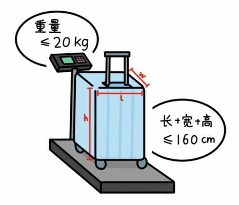 行李是什么意思_超限行李是什么意思