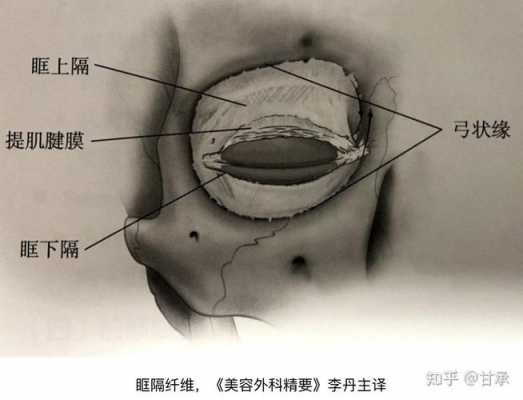 眼睛下面叫什么骨-眼睛下面叫什么