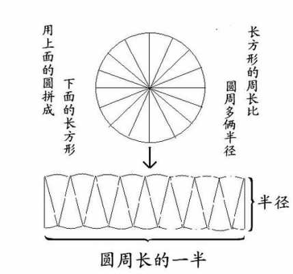 长方形的宽是圆的直径吗 长方形的宽是圆的什么