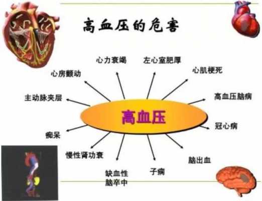  什么疾病会引起高血压「什么疾病会引起高血压?」