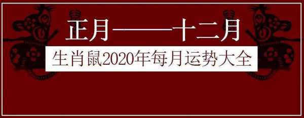 关于55年属什么生肖的信息