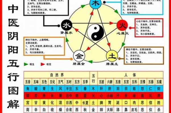 4五行属什么