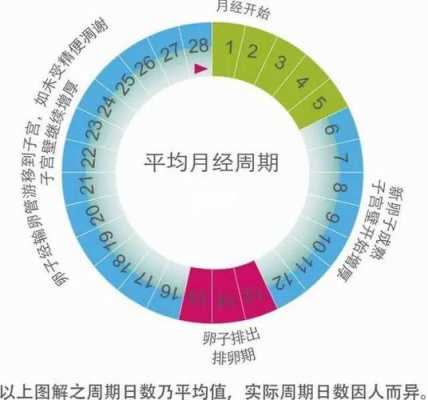 两次月经开始日大概间隔多久是什么意思-多久是什么意思