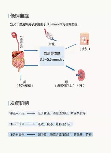 钾低了会出现什么症状_钾低了会出现什么症状怎么办