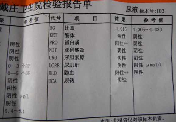  尿隐血十一是什么意思「尿隐血十一是什么意思严重吗」